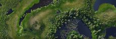The new image from NASA's Earth Observatory shows a high-resolution of remote black spruce forests in interior Alaska.