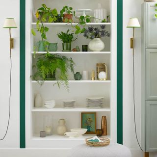 White shelving unit with assorted house plants