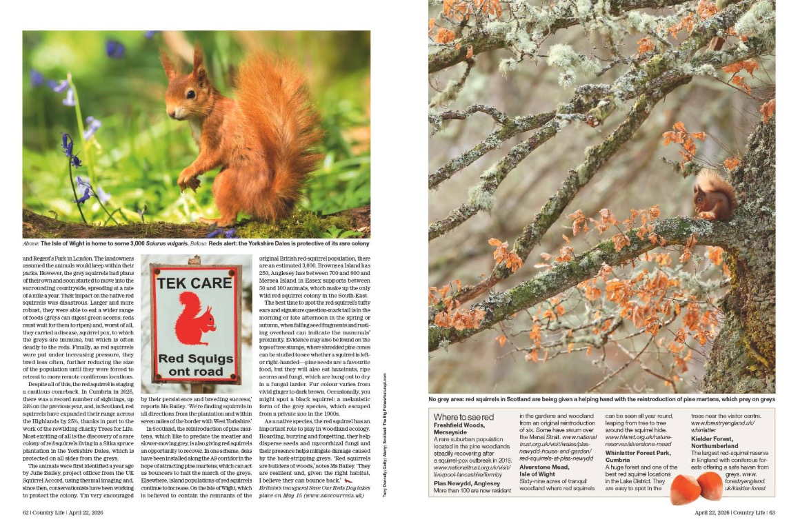 Magazine spreads from Country Life 22 April 2026