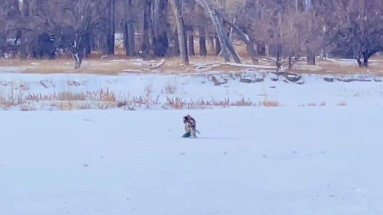 Salty the lost dog and her owner hugging in a snowy wilderness