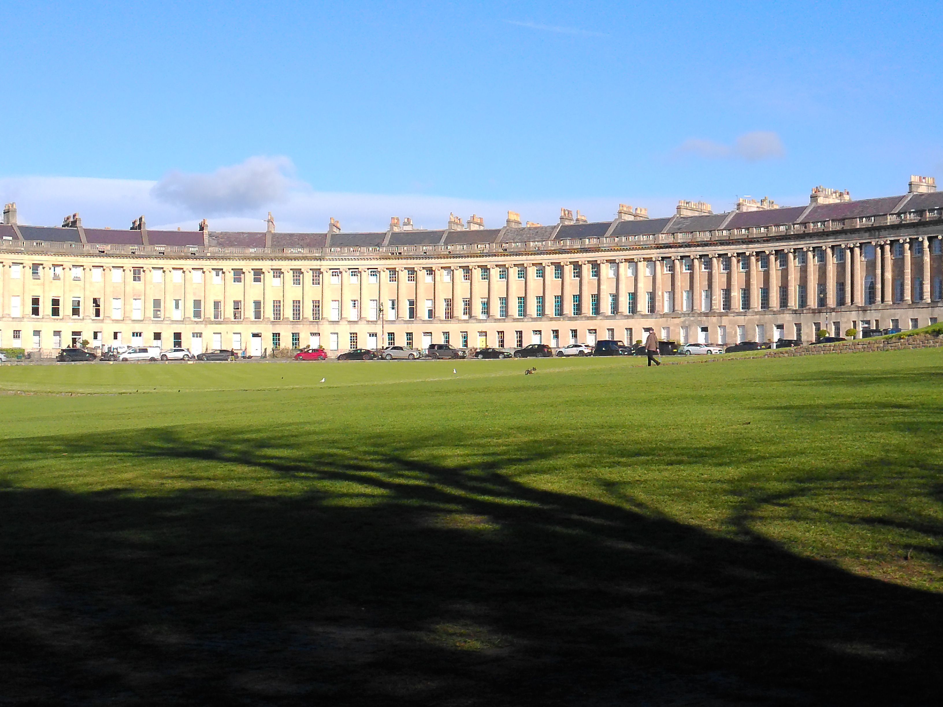 Yashica FX-D S300 sample shot