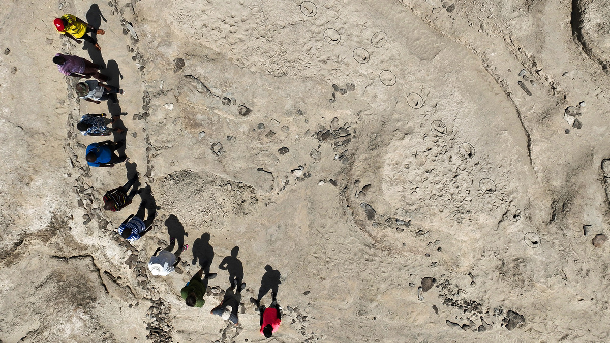 11 people stand around a set of fossil hominin footprints, casting shadows