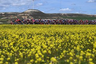 SIGUENZA SPAIN MAY 04 A general view of the peloton passing through a landscape during the 10th La Vuelta Femenina 2024 Stage 7 a 1386km stage from San Esteban de Gormaz to Siguenza 1030m UCIWT on May 04 2024 in Siguenza Spain Photo by Alex BroadwayGetty Images