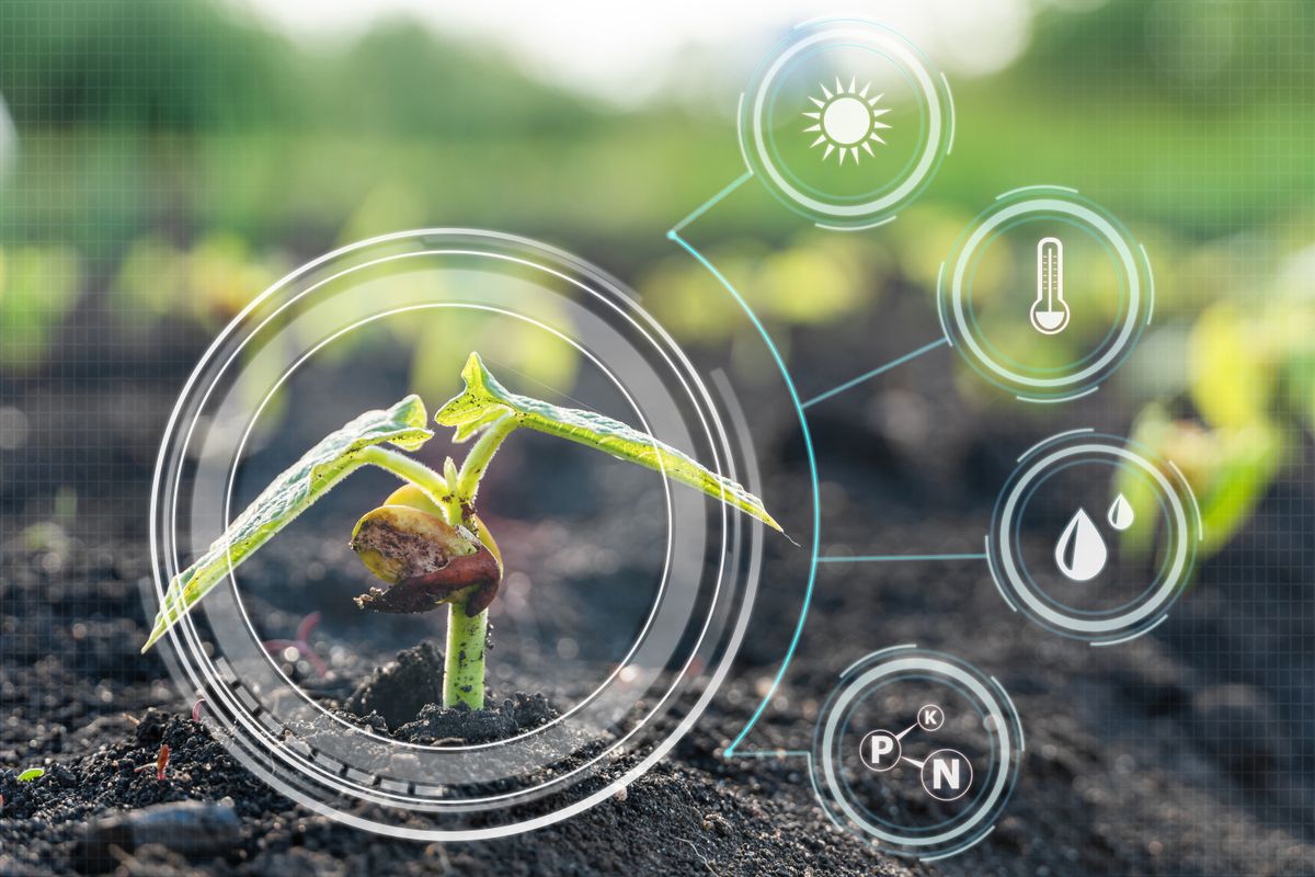 Seedling growing with analysis bubbles next to it