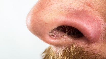 A man's nose