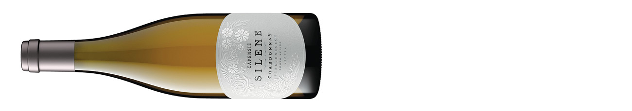 DEC298.dwwa_spread.09_capensis_silene_chardonnay_2021.jpg