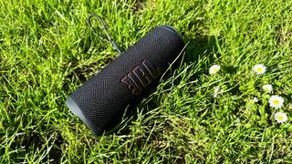 JBL Flip 6 in the grass