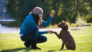 A woman training her dog with a ball