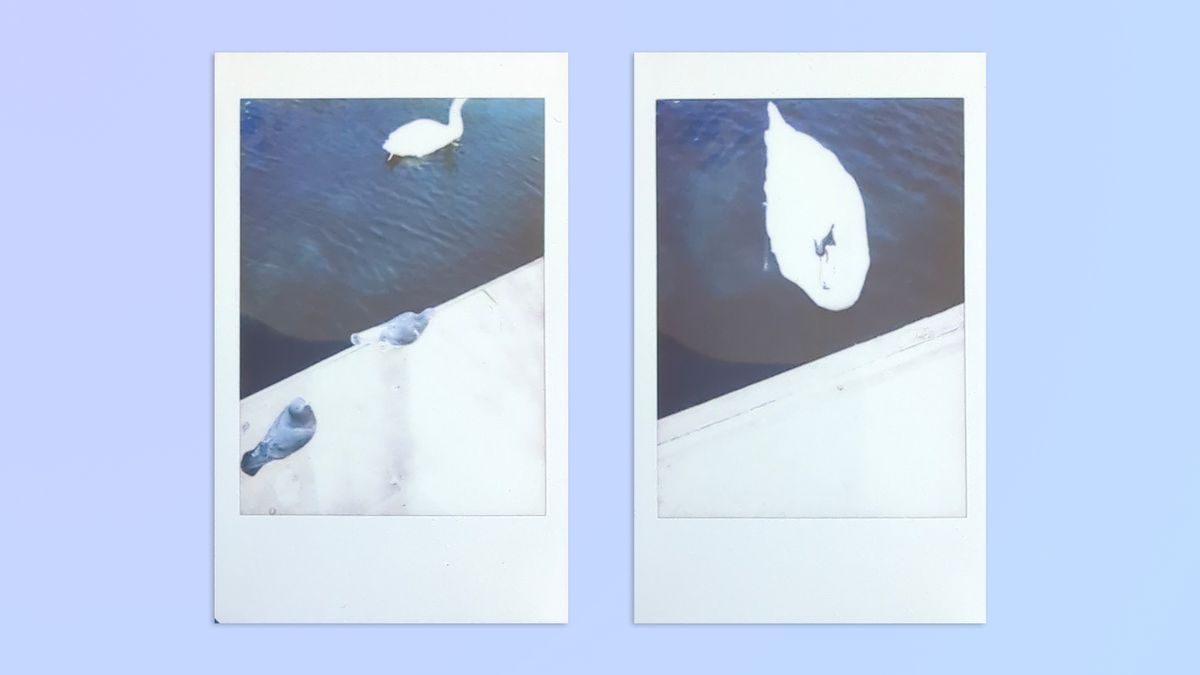 Photos taken on a Fujifilm Instax mini 41