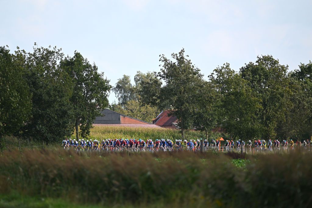 LICHTERVELDE BELGIUM SEPTEMBER 25 A general view of the peloton competing during the 77th Omloop van het Houtland 2024 a 1952km one day race from Eernegem to Lichtervelde on September 25 2024 in Lichtervelde Belgium Photo by Luc ClaessenGetty Images