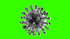 A 3D render of a coronavirus.