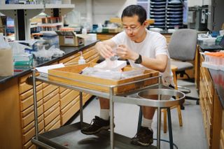 Lead researcher Huan Cui analyzing isotopes in the wet lab at the University of Wisconsin–Madison. Oxygen, carbon, strontium and sulfur isotopes during the Neoproterozoic reveal a step-wise pattern of atmospheric oxygen, crucial to the evolution of complex life.
