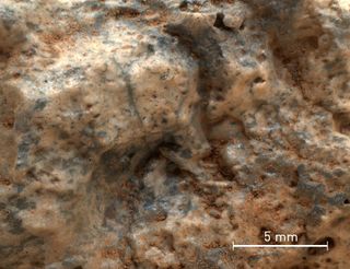 This image captured by the Mars rover Curiosity shows a rock harboring coarse, pearly feldspar crystals intermixed with small quartz crystals and dark silicate material.
