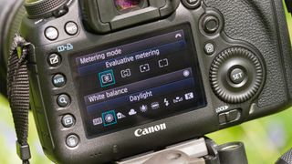 Manual white balance and exposure metering modes on a Canon DSLR