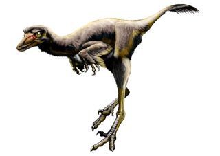 fleshed-out illustration of Talos raptor dinosaur