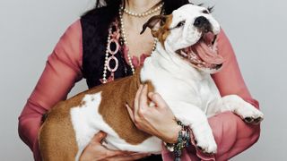 Woman carrying expensive english bulldog