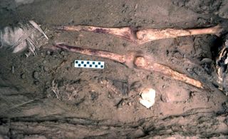 An adult female with an infant buried beside her leg were among the remains found at the ancient Egyptian cemetery.
