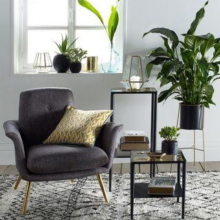 french brand decor with house plants