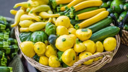 Summer squash in a basket at market