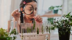 A girl looks at plants in a test tube for a science experiment. What's her scientific hypothesis?