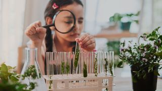 A girl looks at plants in a test tube for a science experiment. What&#039;s her scientific hypothesis?