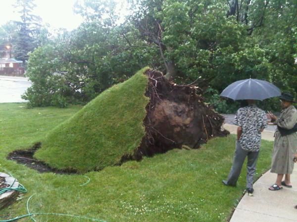 Rare, Severe �Derecho� Windstorm Hits Midwest Live Science