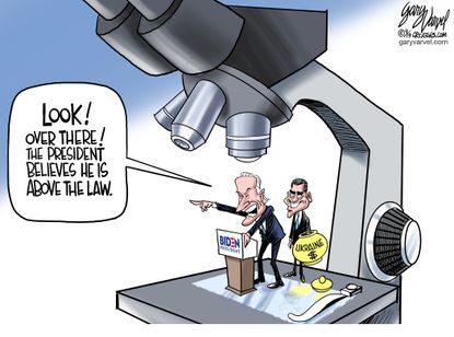 Political Cartoon U.S. Joe Hunter Biden Ukraine