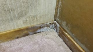 mould on skirting boards and carpet