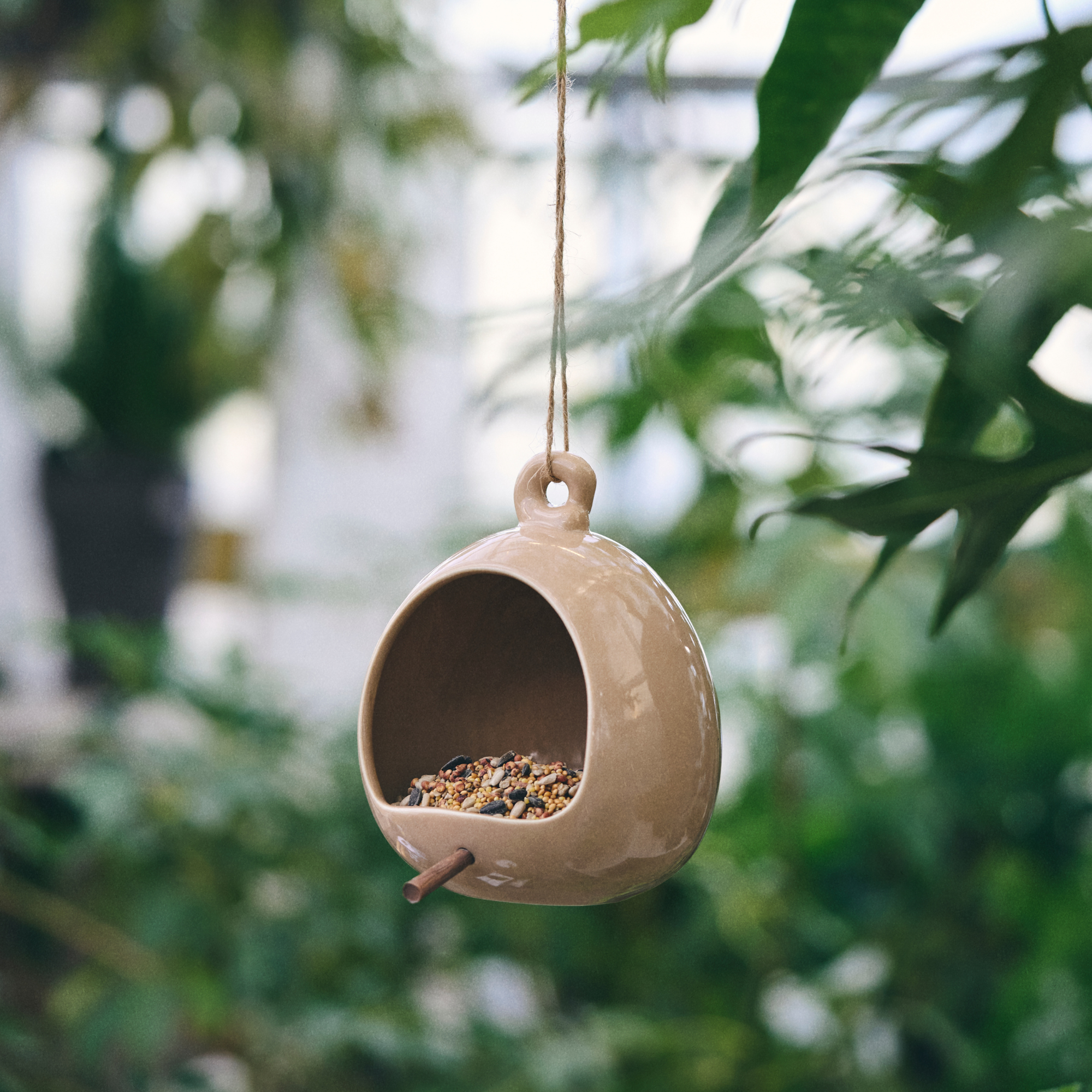 Bird Feeder
