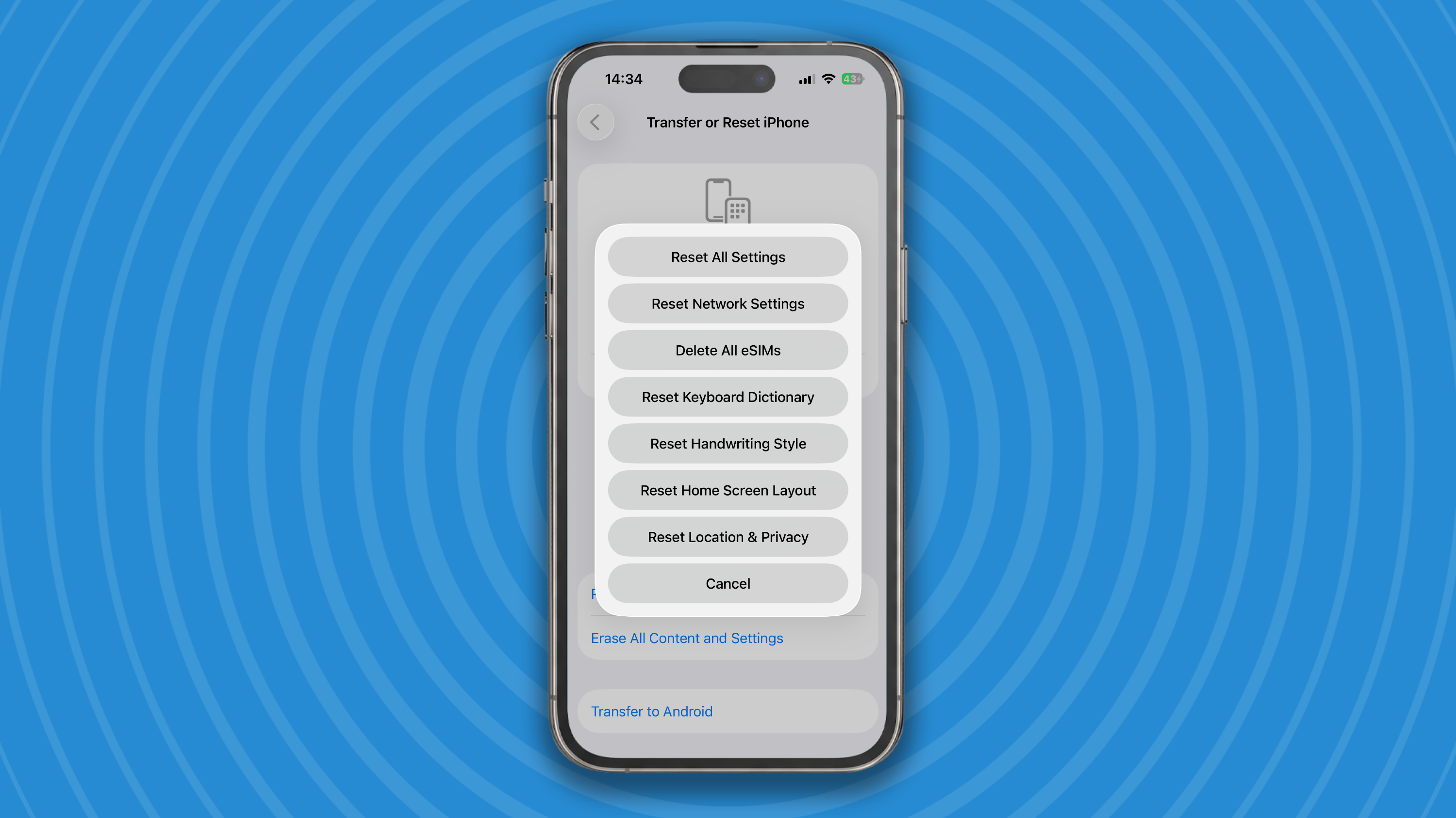 Reset screen on an iPhone.