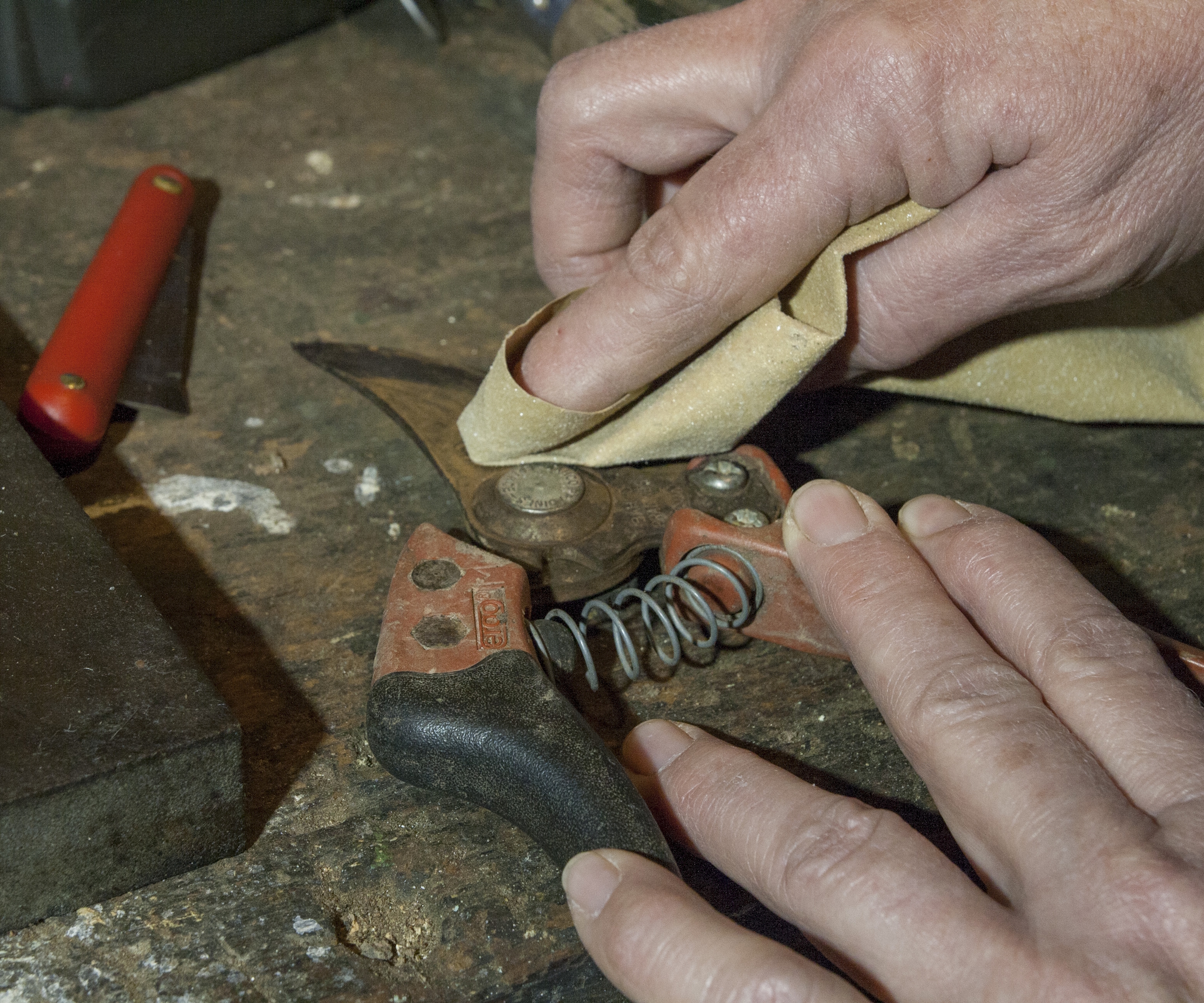 Cleaning rust from pruning shears with fine sandpaper