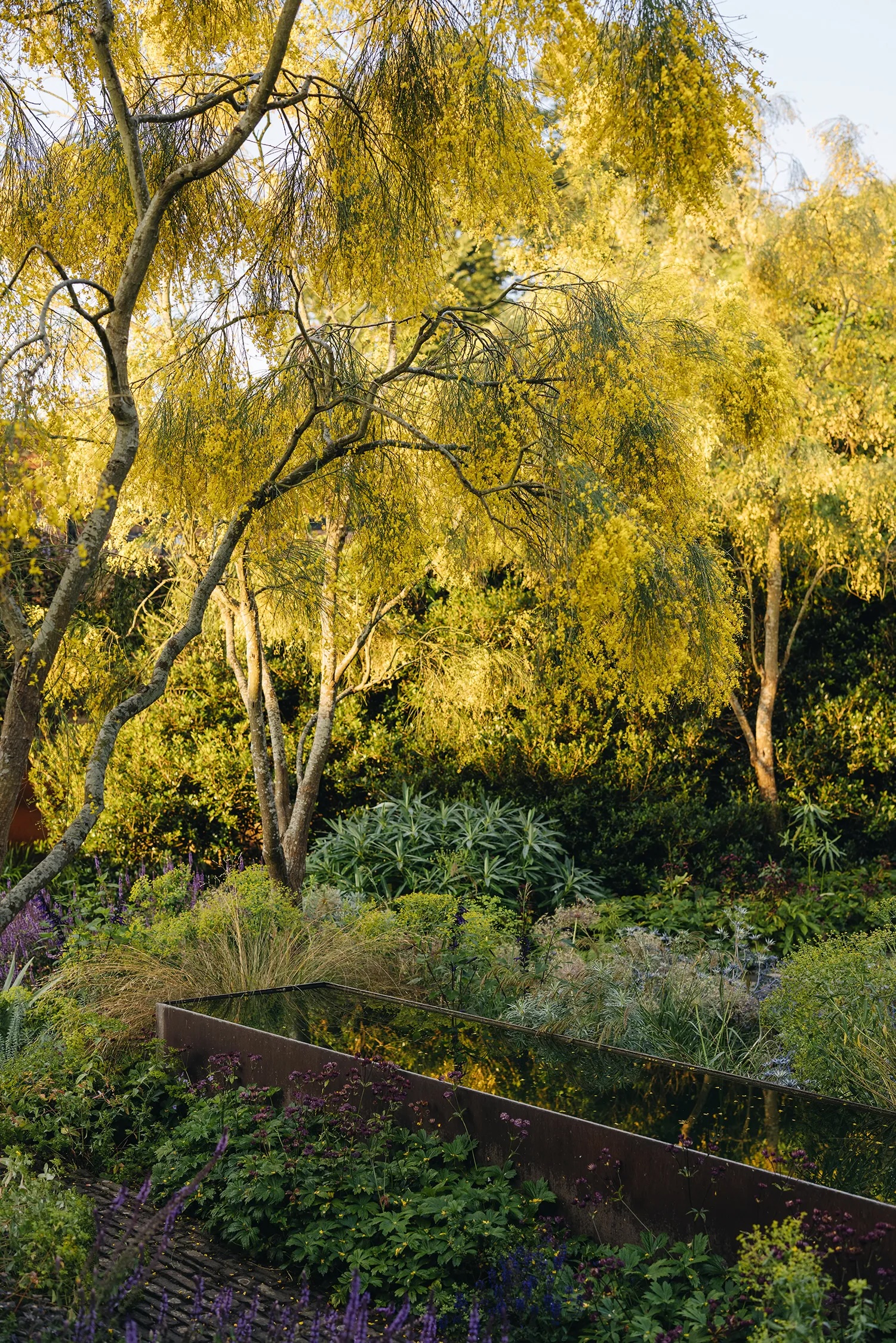 TOM STUART-SMITH&amp;rsquo;S GARDEN IN HERTFORDSHIRE, FEATURING THE LONG CORTEN STEEL WALL AND WATER TANKS FROM HIS 2006 GOLD MEDAL-WINNING GARDEN AT THE RHS CHELSEA FLOWER SHOW