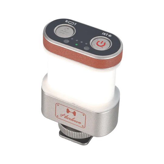 The Harlowe Omni 360 light