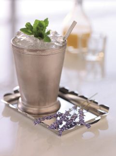 cocktail recipes, best cocktails, cocktails, Grey Goose, Grey Goose vodka, Vodka cocktails, stylish cocktails, recipe, party cocktails, summer cocktails 