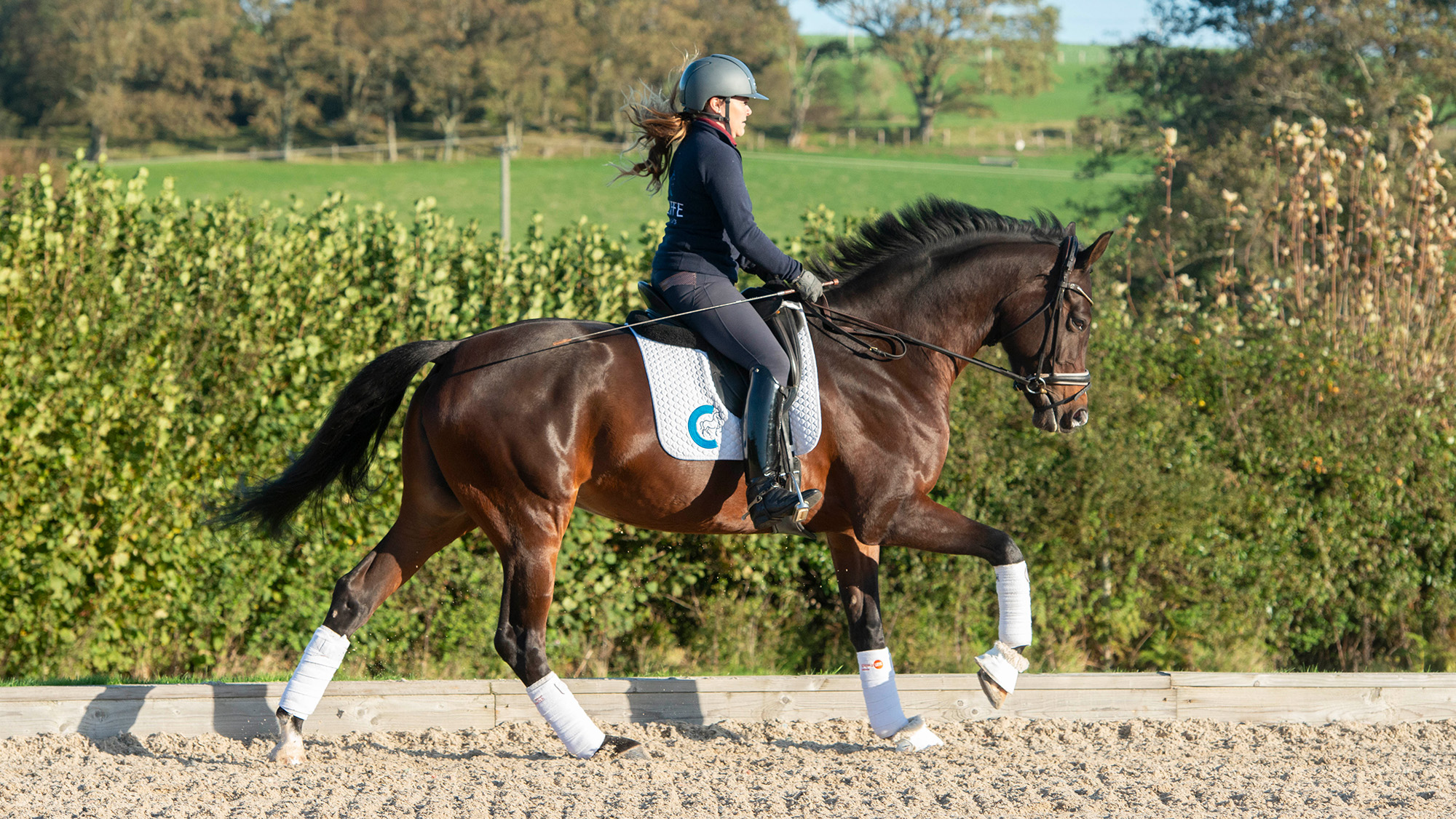 Rider cantering in arena