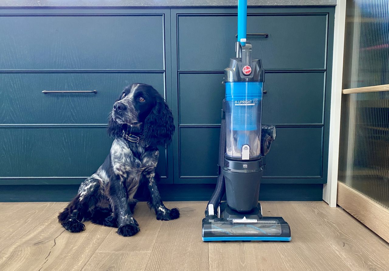 Hoover H-Upright 300 Pets