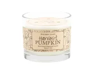 NORTHERN LIGHTS 25oz 3 Wick Harvest Pumpkin Candle for $14.99, at TJ Maxx