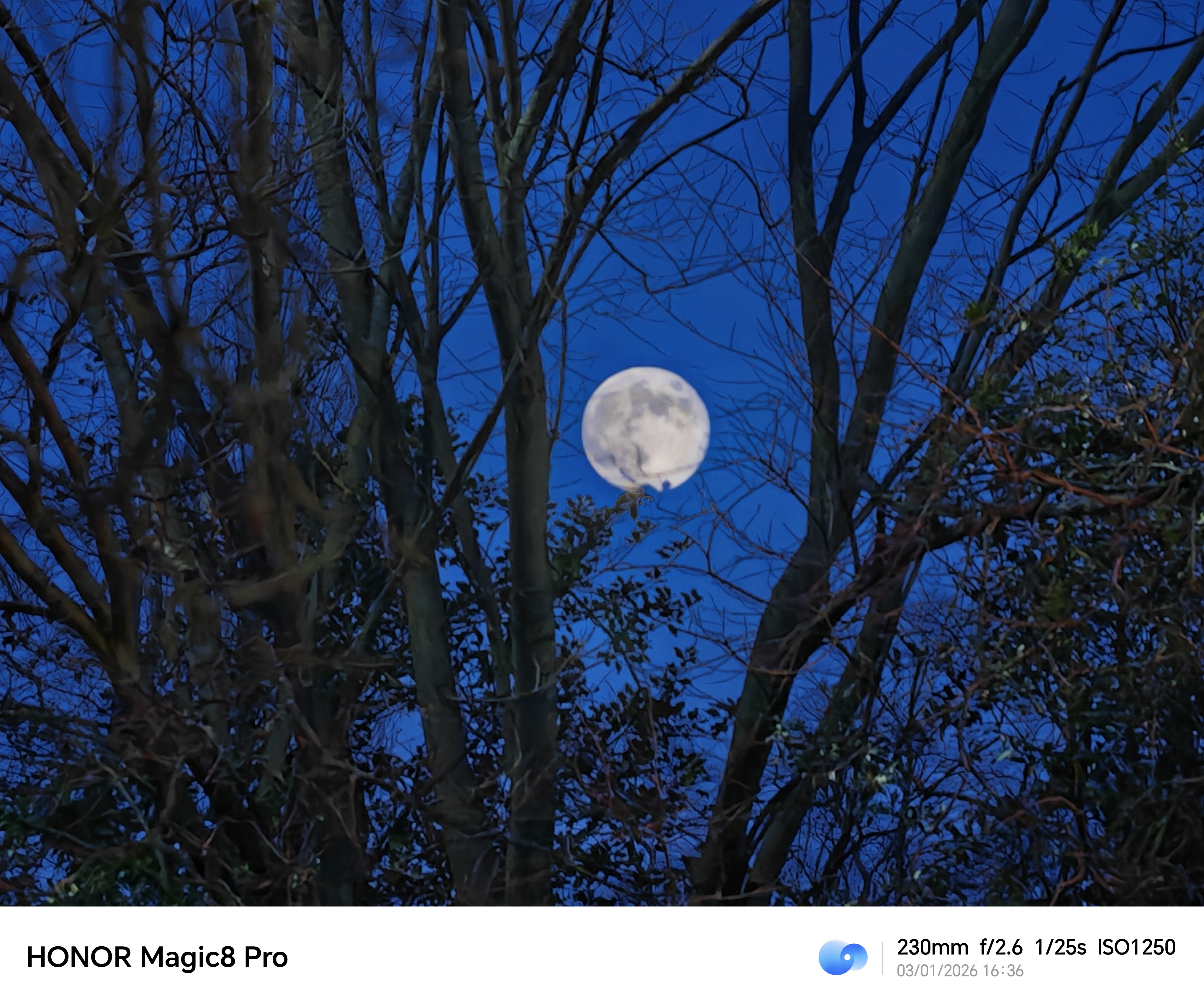 Honor Magic 8 Pro camera sample moon 10x zoom