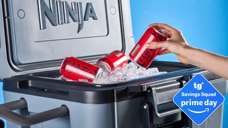 Ninja FrostVault cooler with cans of soda and ice