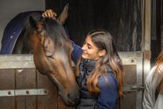 Meeting-a-horse-at-Richard-Phillips-yard.jpg