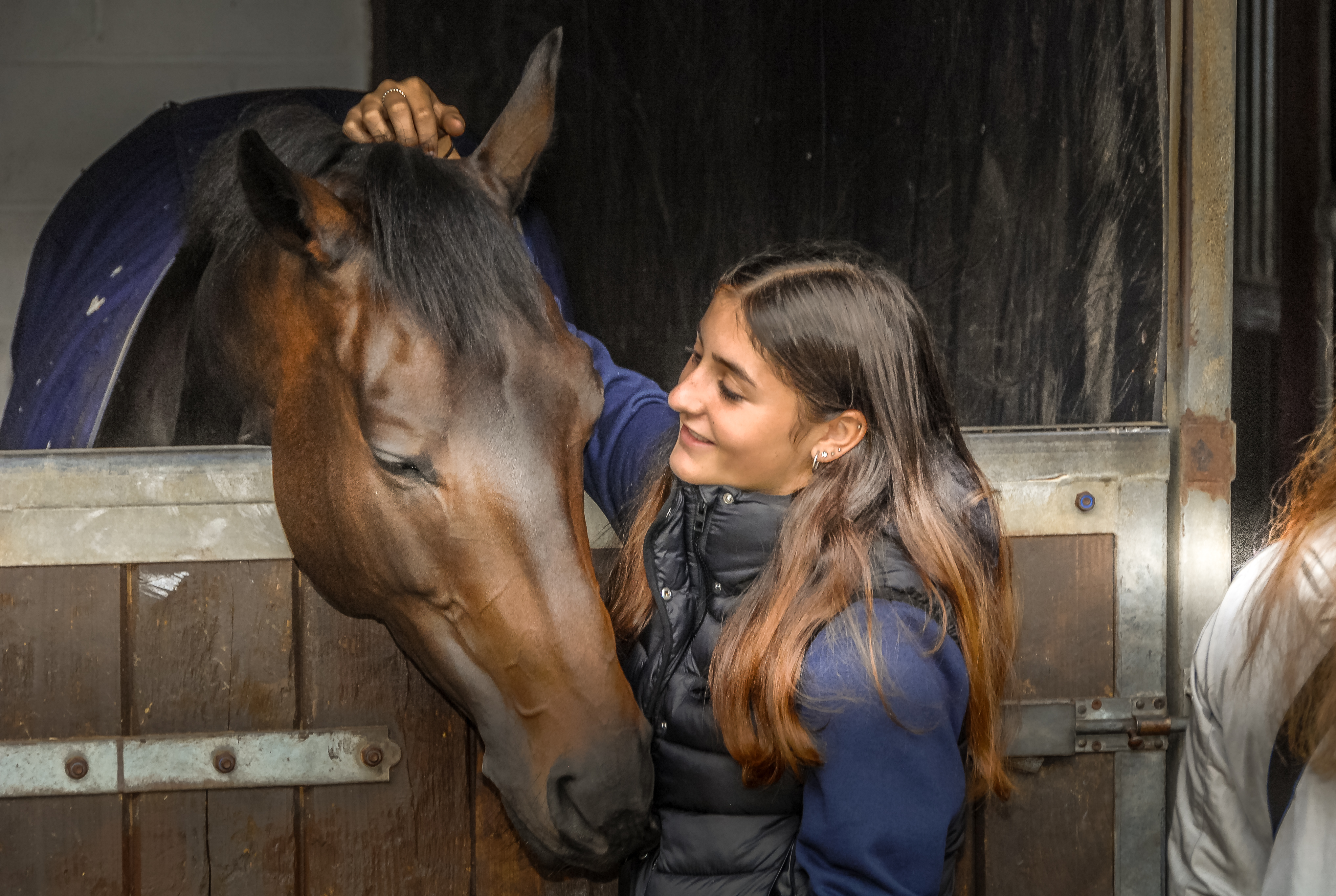Meeting-a-horse-at-Richard-Phillips-yard.jpg