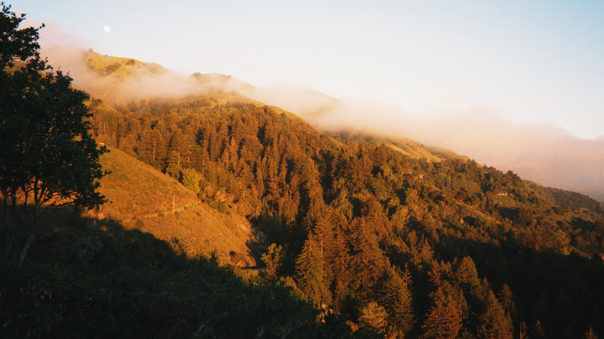 Central California, with John Steinbeck as your guide
