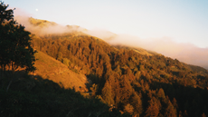 View from Nepenthe at sunset