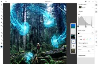 Photoshop for iPad screenshot