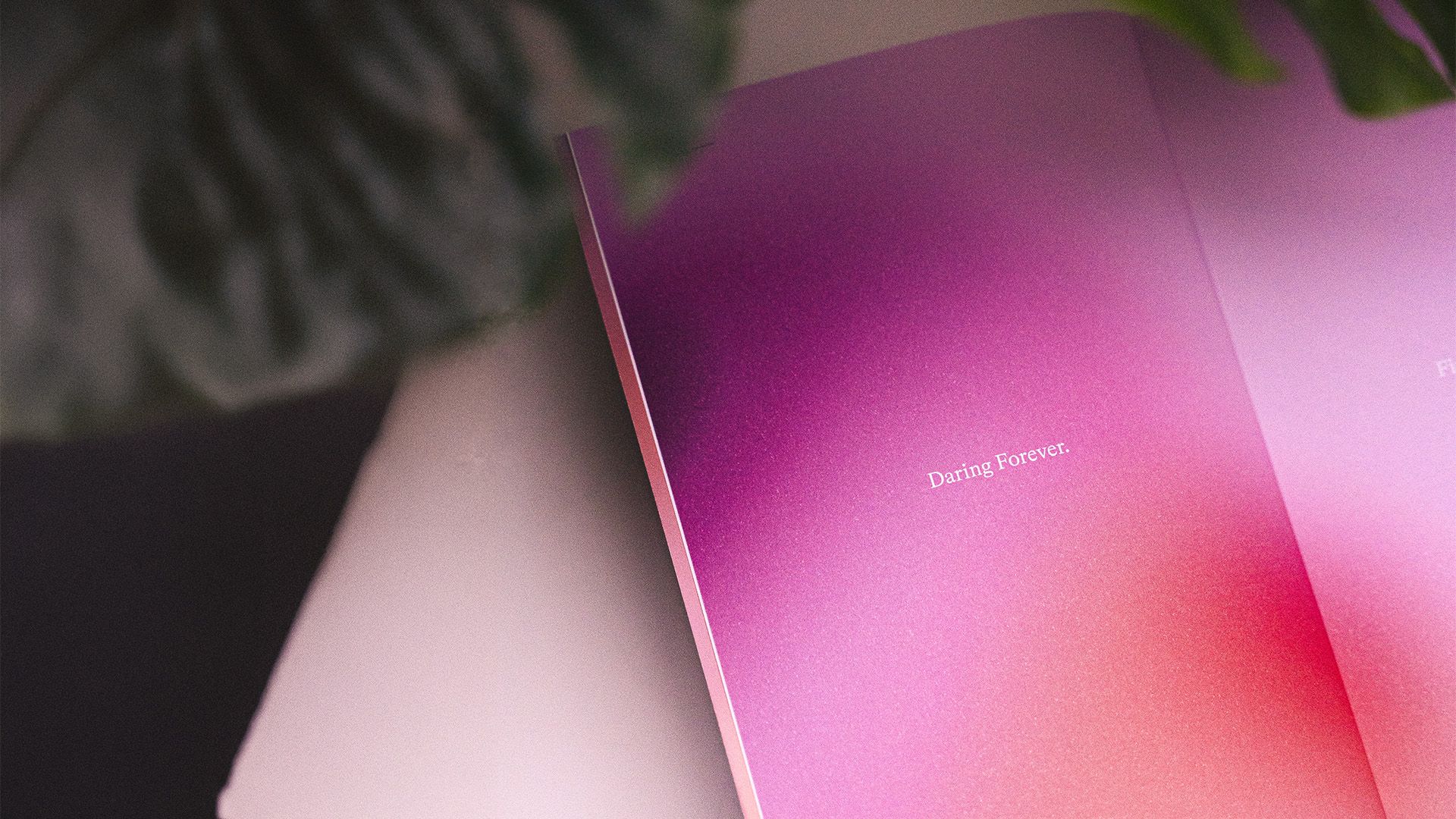 "Nobody has it figured out, and that’s the point": Radim Malinic on the power of creative risk