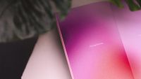 Radim Malinic's book Daring Forever