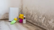 air purifier standing next to a wall covered with mold