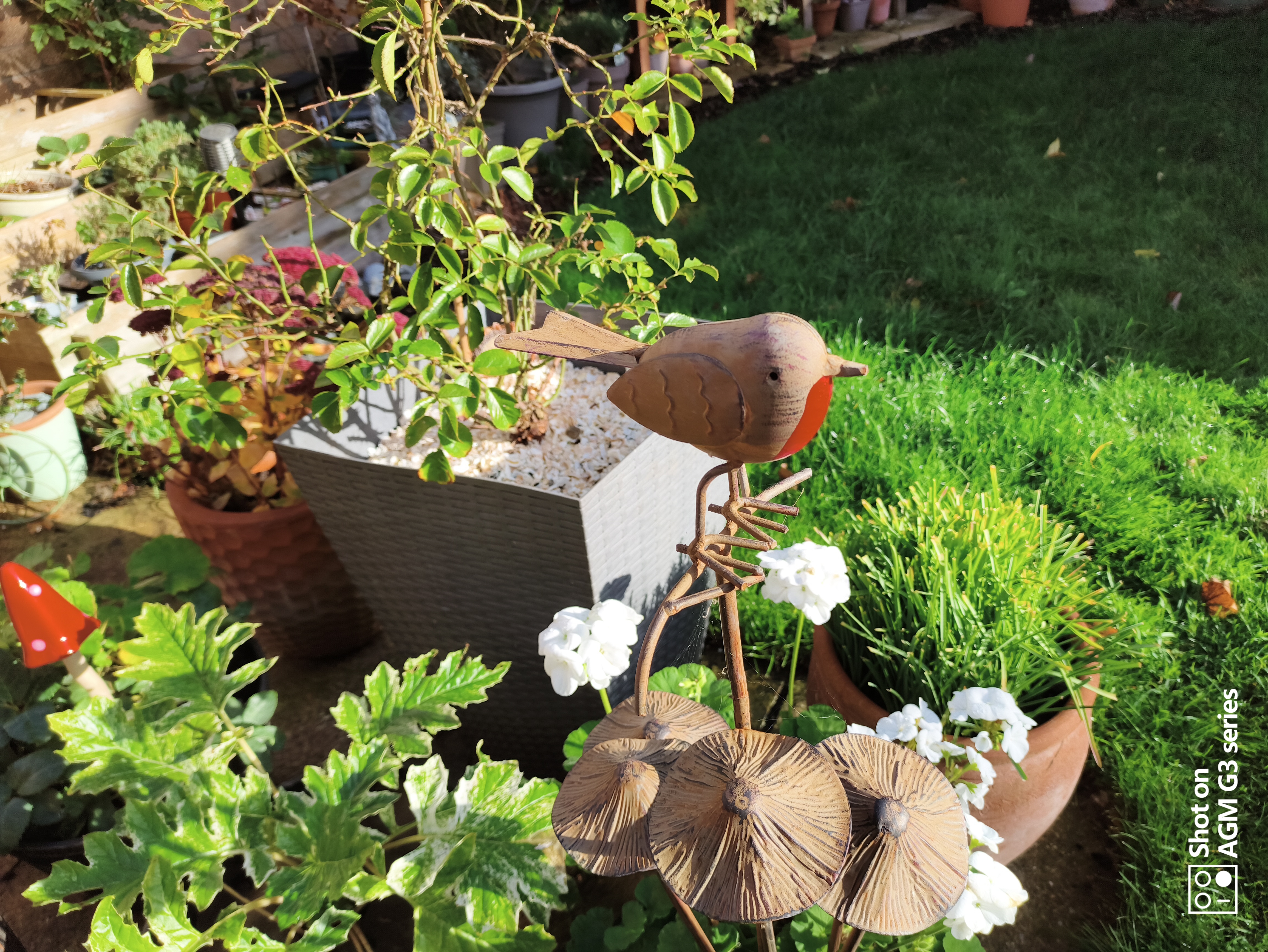 AGM G3 Pro photo and thermal examples