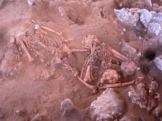 ancient skeleton from vanuatu