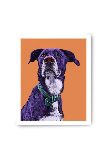 MarionDeLauzun Customized Pet Pop Art Portrait